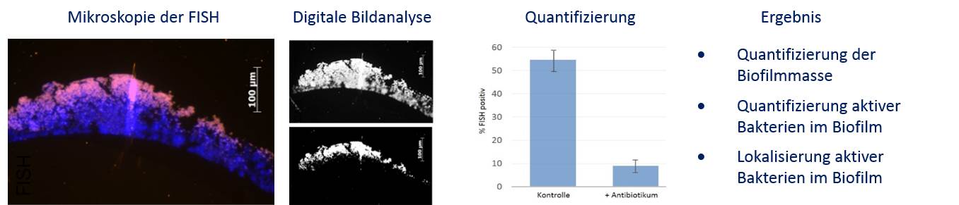 Standardized FISH Testing for Antimicrobial Agents
