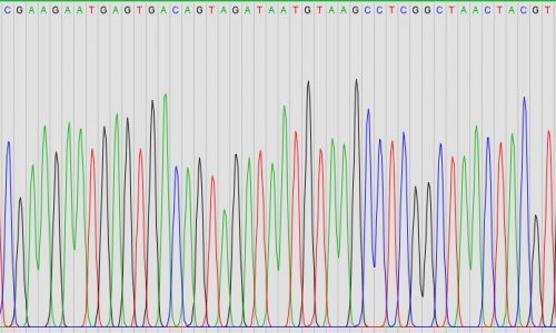 Identifying Microorganisms Using Molecular Methods