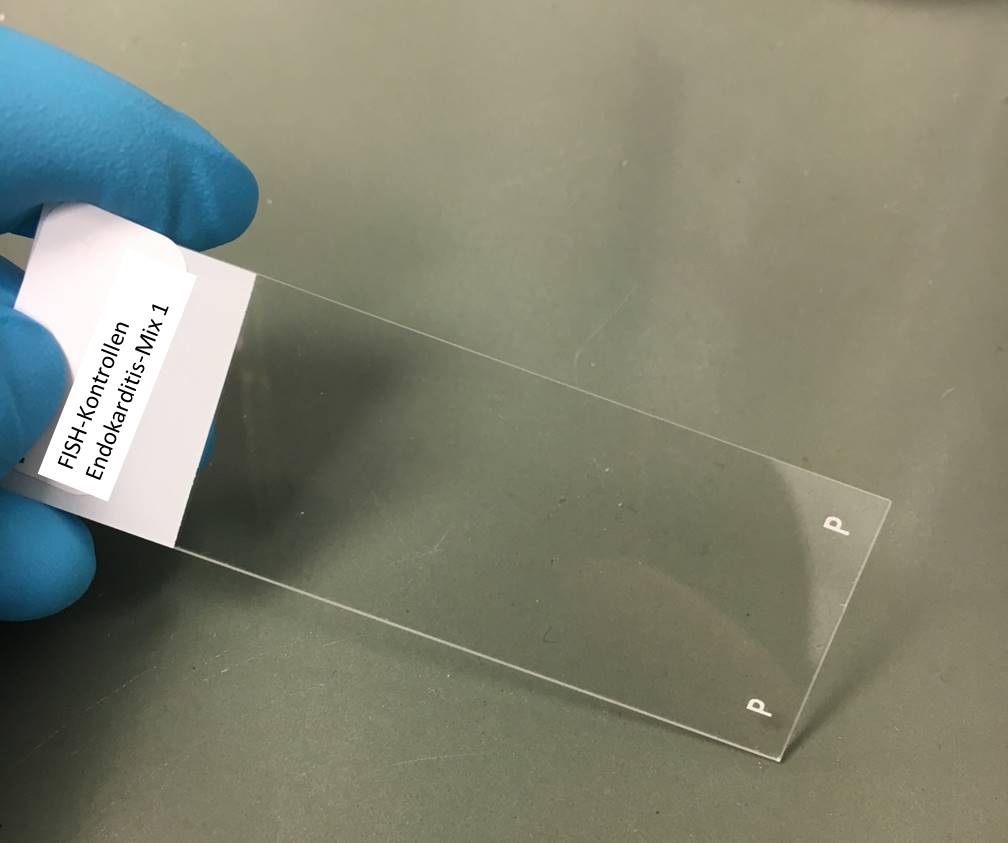 FISH quality control slides